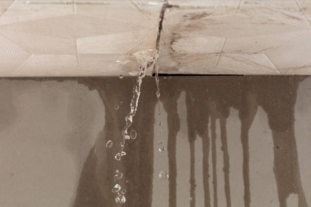 Professional Water Damage Repair technician working in Seaside, OR